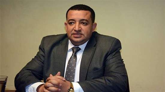 النائب تامر عبدالقادر، عضو مجلس النواب