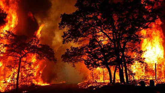 أستراليا تصف موسم حرائق الغابات المدمرة بـ«الصيف الأسود»