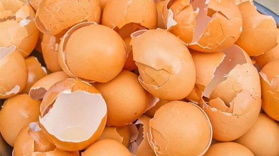  ماذا يحدث عند تناول قشور البيض المطحون في العصير
