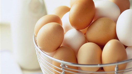 البيض البلدي أم العادي.. أيهما أفضل لصحة الإنسان؟