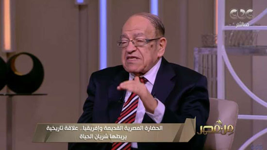 الدكتور وسيم السيسي.. عالم المصريات