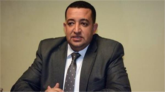  النائب تامر عبدالقادر عضو مجلس النواب 