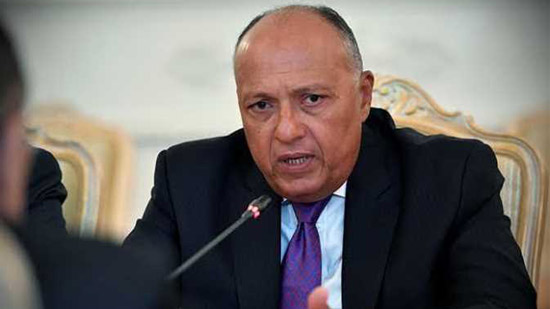 وزير الخارجية يؤكد حرص مصر على مساندة جهود تسوية الأزمة السورية