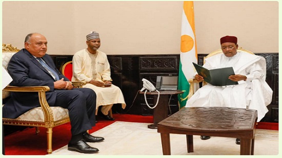 سامح شكري يسلم رئيس النيجر رسالة من السيسي بشأن سد النهضة
