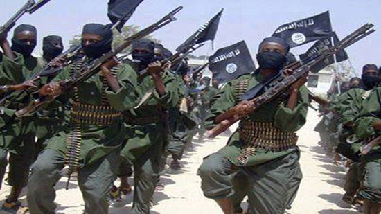 بوكو حرام تنقذ هجومًا إرهابيًا راح ضحيته 30 جندي بنيجيريا