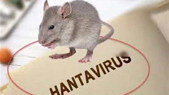 فيروس هانتا