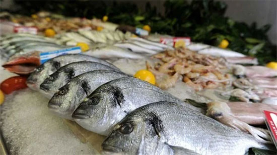 100 % زيادة فى مبيعات الأسماك.. و«التموين» تخفض الأسعار
