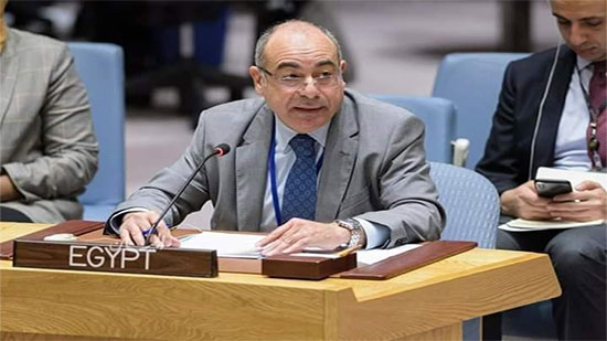مصر في الأمم المتحدة تؤكد على أهمية التحرك العاجل للحفاظ على الأمن الغذائي في أفريقيا لمواجهة تداعيات كورونا