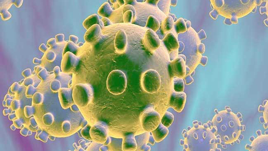  الصحة العالمية : فيروس كورونا حيواني ولم يتم تخليقه 
