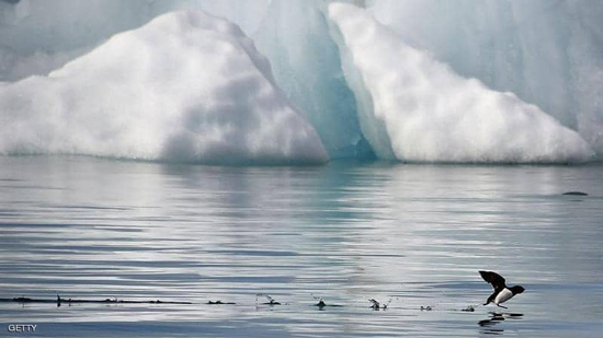 تراجع مستوى الجليد بالمحيط المتجمد الشمالي