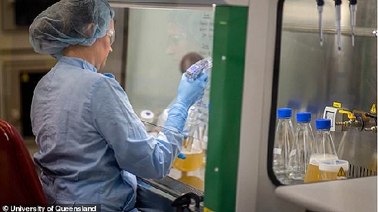  بشرة خير : لقاح فيروس كورونا الأسترالي في سبتمبر ٢٠٢٠ 