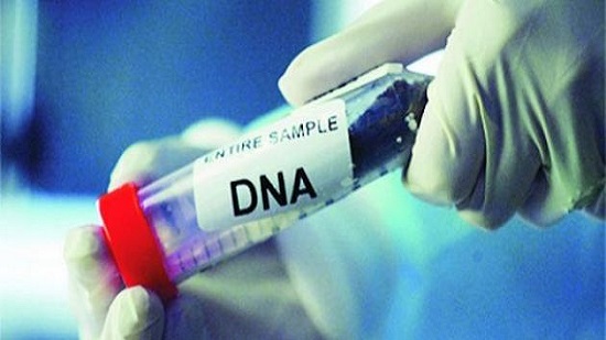 اختبار DNA 