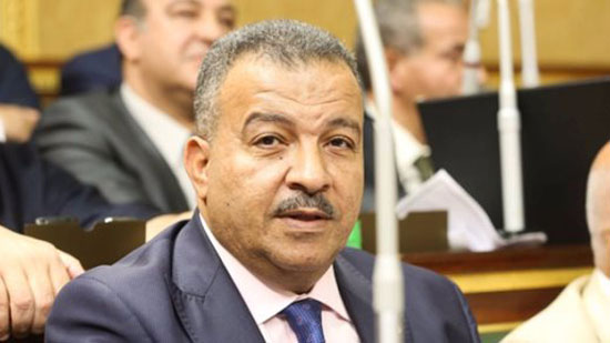 محمد العماري رئيس لجنة الشئون الصحية بمجلس النواب