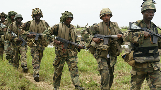 الجيش النيجيري 