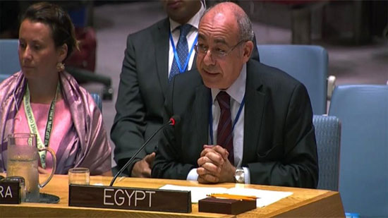 السفير محمد إدريس مندوب مصر