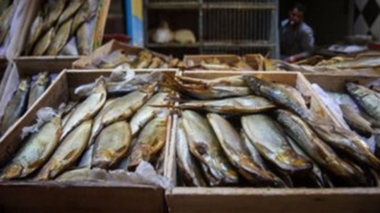 أسعار الفسيخ والرنجة في الأسواق المصرية أول أيام العيد