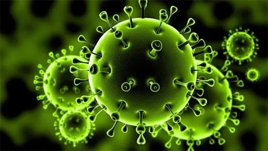 
دراسة: 50% من مصابي كورونا لا يظهر عليهم أعراض وينشرون الفيروس
