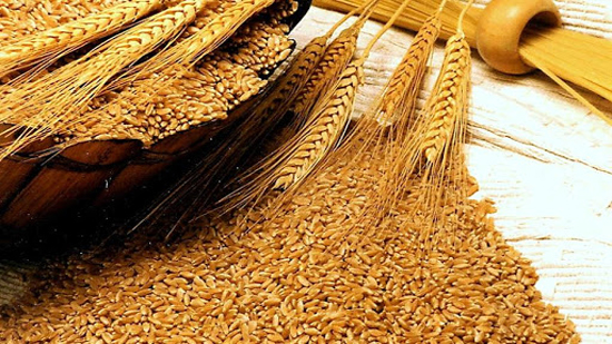 محافظ بني سويف ... توريد 99.7 % من المستهدف من القمح