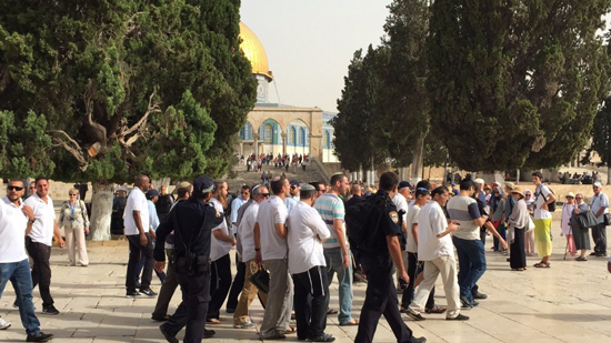  70 مستوطنا يهوديا ينفذون عملية اقتحام لباحات المسجد الأقصى