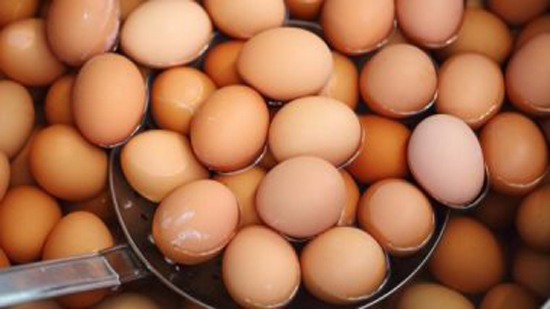 فيتامينات مضاعفة.. فوائد مذهلة لـ البيض الأورجانيك