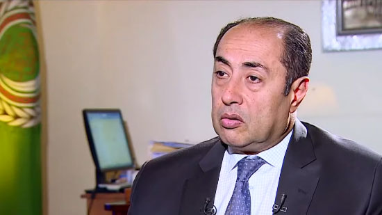  السفير حسام زكي الأمين العام المساعد للجامعة العربية