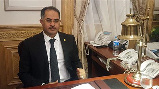  وكيل مجلس النواب: مصر قادرة على انتزاع حقوقها بالقوة والحافظ على أمنها القومي
