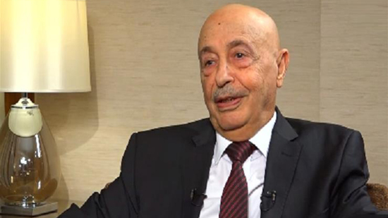 عقيلة صالح: نراهن على الموقف العربي لوقف التدخل التركي