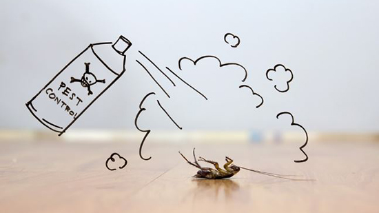 الحشرات أسباب ظهورها وأفضل طرق للتخلص والقضاء عليها