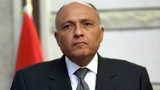  سامح شكري: نقل المرتزقة لليبيا تهديداً جسيمًا للأمن القومي العربي
