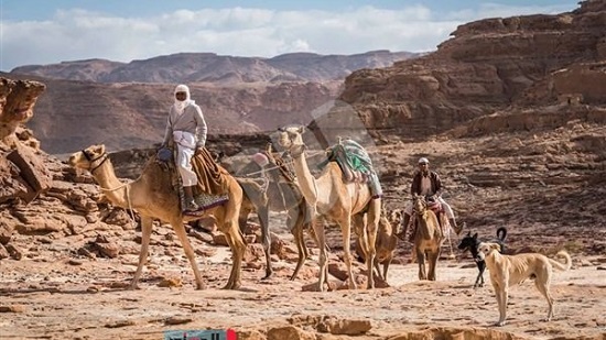 «البيئة» تعلن إرشادات الرحلات بمحميات جنوب سيناء والبحر الأحمر
