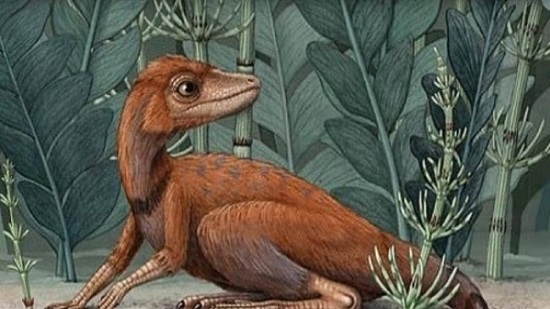 بحجم الهاتف المحمول.. ديناصور صغير عاش على الأرض ملايين السنين