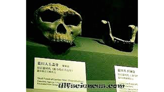 فى مثل هذا اليوم.. علماء يكتشفون أدوات حجرية يعود تاريخها لـ2.1 مليون سنة في الصين