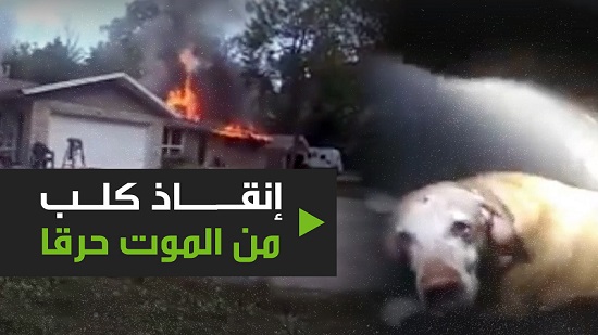 إنقاذ كلب من الموت حرقا
