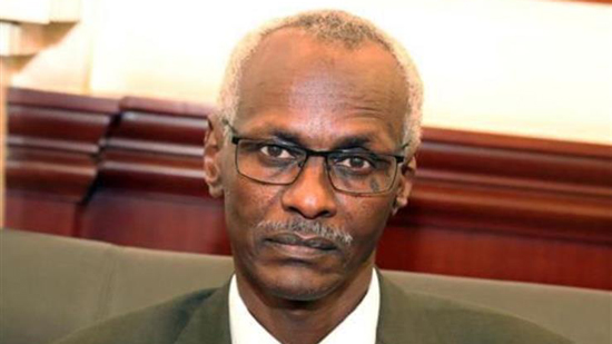  وزارة الري السودانية: تقدم طفيف في مفاوضات سد النهضة