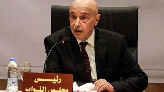  البرلمان الليبي الرسمي يطلب تدخل مصر 