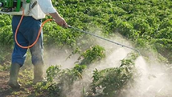 الزراعة تضع خطة للكشف عن المبيدات المغشوشة في الأسواق