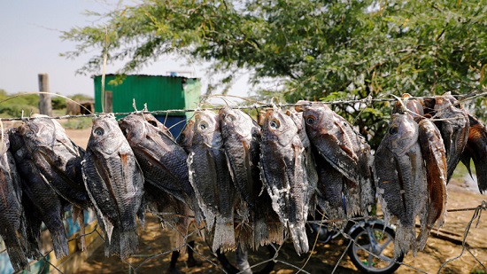 سد إثيوبي يهدد معيشة صيادين في كينيا