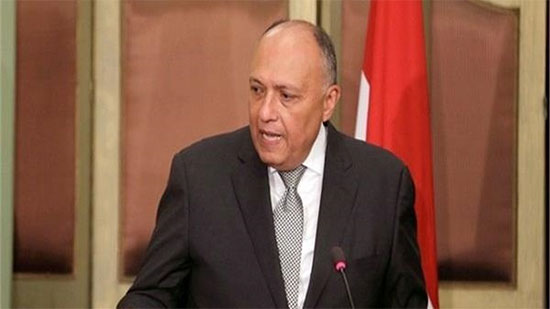 مشاورات بين مصر والجزائر بشأن القضايا الإقليمية