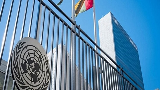 مصر تدعو في الأمم المتحدة إلي مكافحة جرائم 
