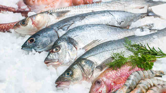 أسعار الأسماك اليوم الاثنين 3 أغسطس 2020