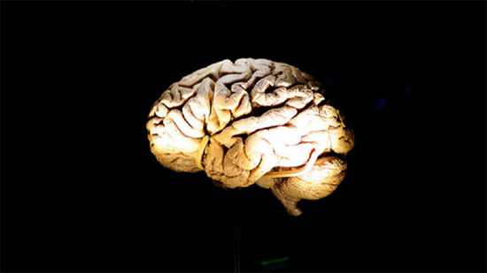 خبراء يحذرون: شرائح الدماغ الإلكترونية يمكن اختراقها وسرقة ذكرياتك وأفكارك
