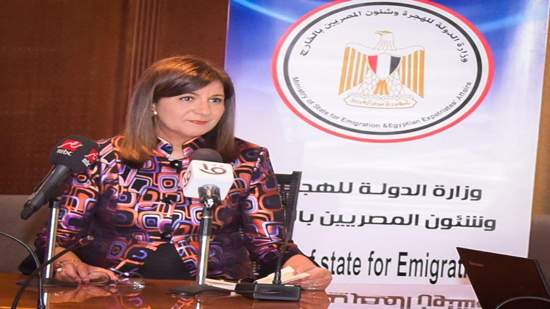وزارة الهجرة تواصل متابعة تصويت المصريين بالخارج في انتخابات مجلس الشيوخ