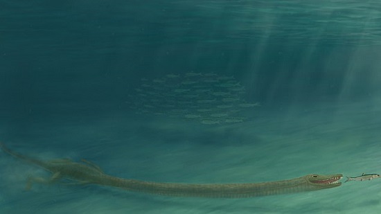 بالصور..علماء يكشفون لغز مخلوق زاحف عاش قبل 242 مليون عام عنقه أطول من جسمه
