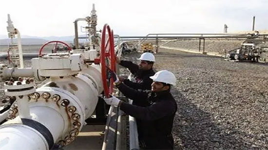 وزير البترول: بدء مد شبكات الغاز الطبيعى لمنطقة شرق بورسعيد الصناعية