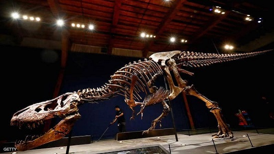 باحثون يعثرون على عظام ديناصور من فصيلة تي ركس