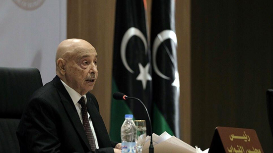  صفعة أخرى لأردوغان.. مجلس النواب الليبي يصدر بيان شديد اللهجة ويتوعد تركيا