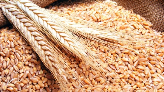 التموين: احتياطي مصر من القمح والسكر يكفي 6 أشهر
