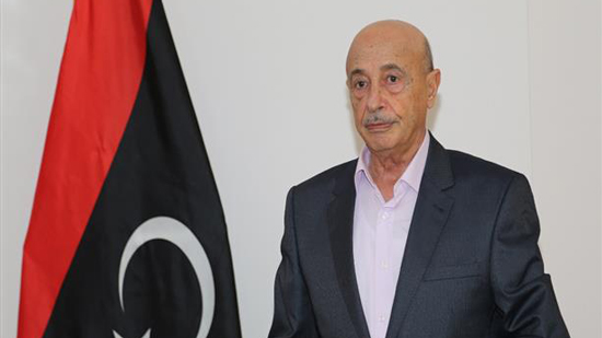  عقيلة صالح: إعلان القاهرة الأقرب لحل الأزمة الليبية