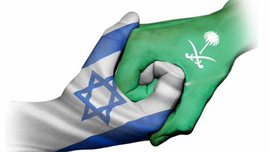 هل توقع السعودية معاهدة سلام مع إسرائيل؟ أستاذ تاريخ يجيب
