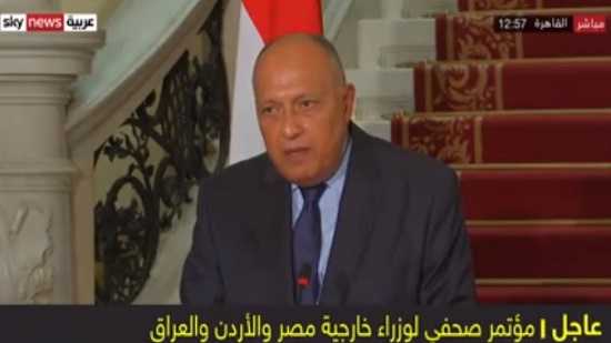  شكري: أكدنا ضرورة وقف التدخلات الإقليمية في الشؤون العربية

